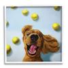 Stupell Industries Happy Smiling Pet Dog with Yellow Tennis Balls view 1