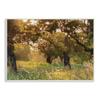 Stupell Industries Summer Sunlight Forest Trees Wild Tall Grass view 1