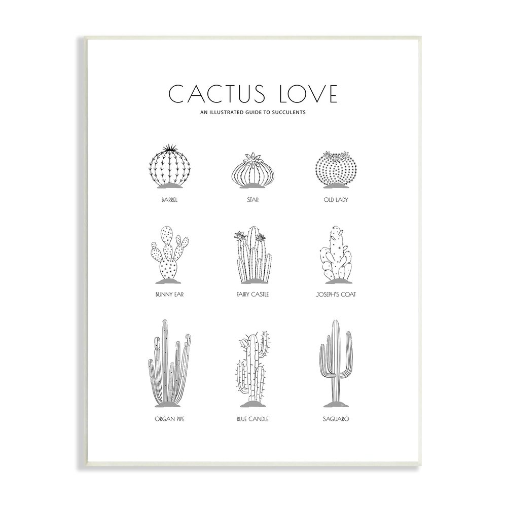 Stupell Industries Illustrated Guide to Succulents Minimal Modern Cactus Plant