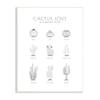 Stupell Industries Illustrated Guide to Succulents Minimal Modern Cactus Plant view 1