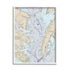 Stupell Industries Chesapeake Bay Water Flow Map Coastal Cartography, Designed by Daphne Polselli White Framed Wall Art, Tan view 1
