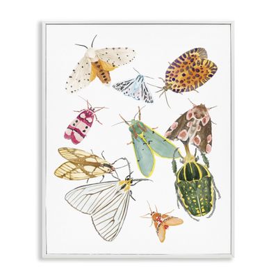 Winged Insect Tropical Color Bugs, 16 x 20 Inch Framed Gicle Print
