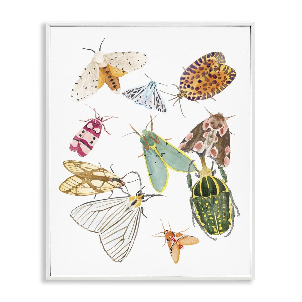 Winged Insect Tropical Color Bugs, 16 x 20 Inch Framed Gicle Print