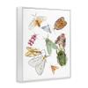 Winged Insect Tropical Color Bugs, 16 x 20 Inch Framed Gicle Print view 2