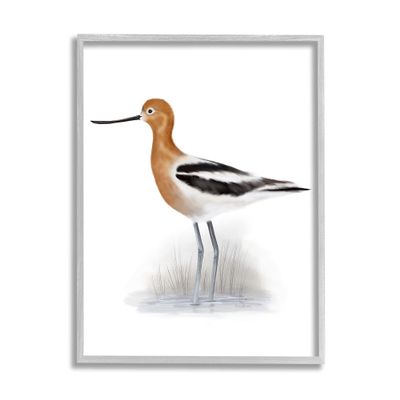Stupell Industries Orange Avocet Marshland Bird Black Stripe Wings