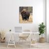 Stupell Industries Wild American Bison Grazing Rustic Tall Grass view 2
