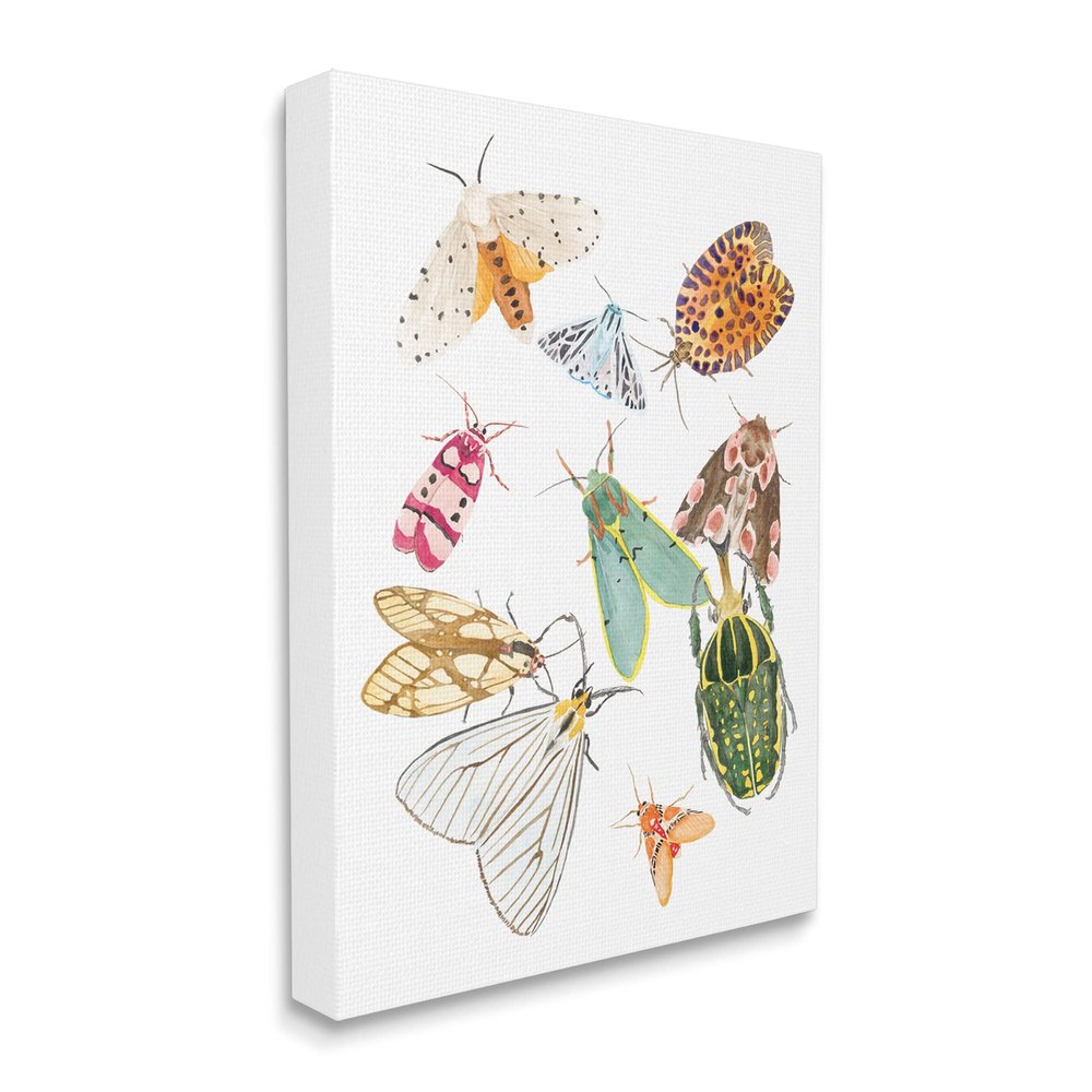 Stupell Industries 'Winged Insect Group Tropical Color Bugs'| Canvas Art