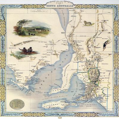 1800's Map Bird Eye View South Australia Spencer Gulf Travel Poster Reproduction (16 X 24 Image Size Paper)