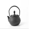 HAWOK Cast Iron Teapot with Stainless Steel Infuser (600ml/20oz) view 1