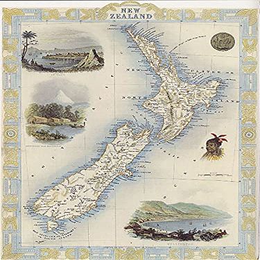 1800'S MAP NEW ZEALAND CITIES WELLINGTON EGMONT MT BIRD EYE VIEW REPRO POSTER (20 X 30 IMAGE SIZE PAPER)