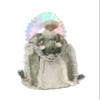 Windy Hill Collection 14" Inch Standing Coastal Aquamarine Fiber Optic Angel Lighted LED Christmas Tree Topper or Table Top 594126 view 3