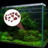 balacoo 500g Volcanic Stone Granules for Aquarium Practical Material for Tank Habitat Decoration view 3