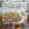 KOOEIN Tarpaulin Heavy-Duty,Waterproof Universal Tarp,Transparent Anti-uv Tarpaulin,for Patio,pergola,Greenhouse,Protective Tarpaulin,Antifreeze Canopy with Grommet,2x2m/6.6x6.6ft view 3