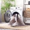 SAFAVIEH Washable Rug Serapi Collection - 8' x 10', Grey & Light Grey, Slip Resistant & Easy to Clean, Ideal for Living Room, Bedroom, Dining Space (SEP550F) view 2