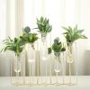 12" Test Tube Vase for Flowers Glass Vase with Metal Stand Racks Gold Vase Conjoined for Plants Office Home view 1