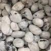 Natural Gemstone Crystals Polished Palm White Moonstone Tumbled Stone for Home Decoration 17-22mm 100g view 2