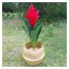 12x16x15cm Storage Basket Rattan Straw Basket Wicker Seagrasss Folding Laundry Flower Pot Flower Vase Home Hanging Basket (Color : A) view 3