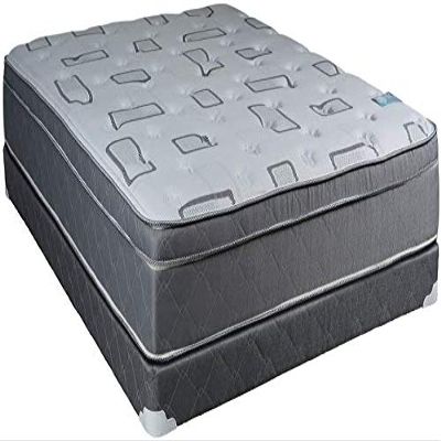 Dream Solutions USA DS USA Natural Trophy Queen Size Medium Plush Eurotop Mattress Set with Metal Bed Frame - Sleep System with Enhanced Foam Encased Support, Orthopedic, Longlasting Comfort
