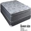 Dream Solutions USA DS USA Natural Trophy Queen Size Medium Plush Eurotop Mattress Set with Metal Bed Frame - Sleep System with Enhanced Foam Encased Support, Orthopedic, Longlasting Comfort view 3
