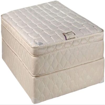 Dream Solutions USA DS USA Dreamy Collection Eurotop PillowTop Twin Size Mattress Set with Metal Bed Frame - Medium Firm, Innerspring Coils, Premium Edge Guards, Orthopedic Type, Longlasting