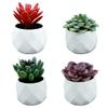 4pcs Fake Succulent Plant Decor Cacti Potted Plants Succulents Artificial Realistic Succulent Plants Artificial Plants Artificial Succulent Pots Cactus Decor Desktop Small Plant view 3