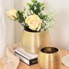 Yardwe Gold Vase Round Pot Gold- Tone Metallic Ceramic Planter, Decorative Bowl Vase view 2