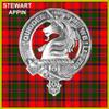 Stewart (Appin) 5 oz Round Clan Crest Scottish Badge Flask view 2