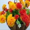 Chain Hanging Basket Flowerpot Artificial Carnations Flower Silk Flowers Orange (Small Basket) view 4