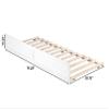 AFI, Trundle Bed Twin XL, White view 2