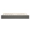 AFI, Trundle Bed Twin XL, Grey view 4