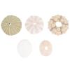BESTOYARD Plants Decor 5Pcs Natural Urchins Sea Shells Mini Sea Urchin Shell Hanging Plant Holder for Craft Air Plant Beach Wedding Decoration Home Decor view 1