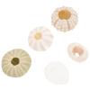 BESTOYARD Plants Decor 5Pcs Natural Urchins Sea Shells Mini Sea Urchin Shell Hanging Plant Holder for Craft Air Plant Beach Wedding Decoration Home Decor view 3