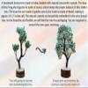 Amazing Gemstone Amazonite Natural Healing Premium Crystal Bonsai Feng Shui Fortune Money Tree of Life for Home Office Decor (Gift Box Ready) (10-12 Inch) view 4