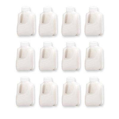 (12Pk) Mini Milk Jugs Plastic With Lid Quart Size Jugs Empty Milk Jugs, Use For Milk, Brews, Juice, Teas, Easy Grip Easy Pour Pitcher Elderly, Special Needs & Small Hands, Food Safe, Hdpe Squat 32 Oz