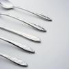 Cambridge Silversmiths Devyn Mirror 20-Piece Flatware Set, Service for 4 view 3