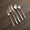 Cambridge Silversmiths Radin Mirror 20-Piece Flatware Set, Service for 4,Silver view 2
