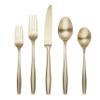 Cambridge Silversmiths Katerina Champagne Satin 20-Piece Flatware Set, Service for 4 view 1