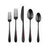 Cambridge Silversmiths Poet Black Satin 20-Piece Flatware Set, Service for 4 view 1
