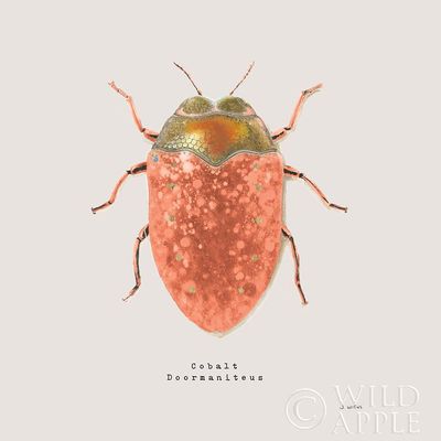 ArtExpert Adorning Coleoptera V Sq Camelia by James Wiens - 16x16 Art Print Poster