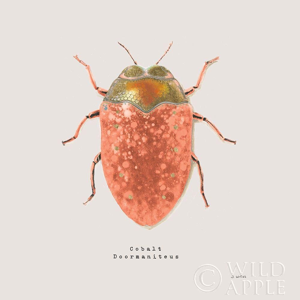 ArtExpert Adorning Coleoptera V Sq Camelia by James Wiens - 16x16 Art Print Poster