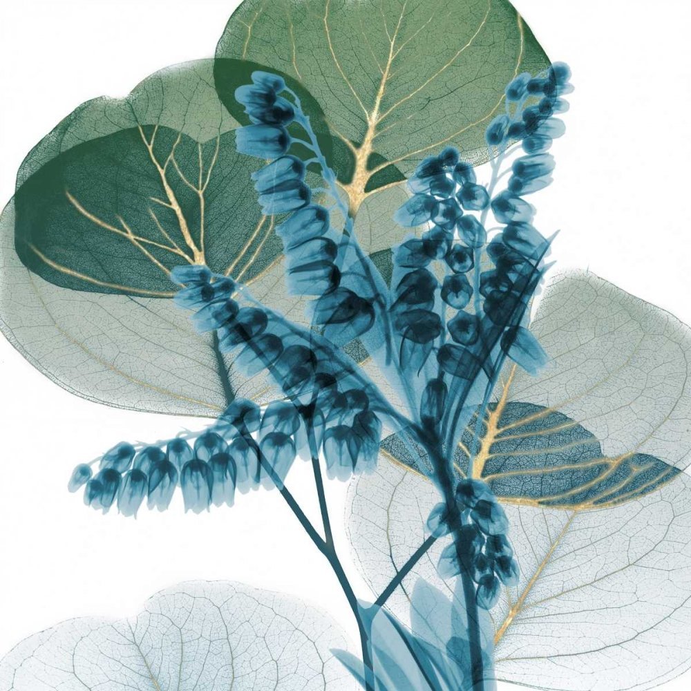 ArtExpert Golden Lilly Of Eucalyptus 2 by Albert Koetsier - 16x16 Art Print Poster