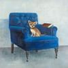 ArtExpert Chihuahua On A Blue Armchair by Atelier B Art Studio - 16x16 Art Print Poster view 1