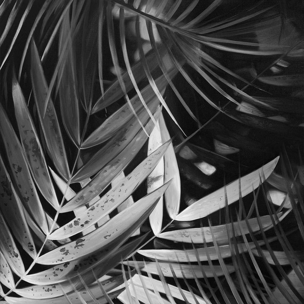 ArtExpert Monochrome Tropicals Leaves by Atelier B Art Studio - 16x16 Art Print Poster