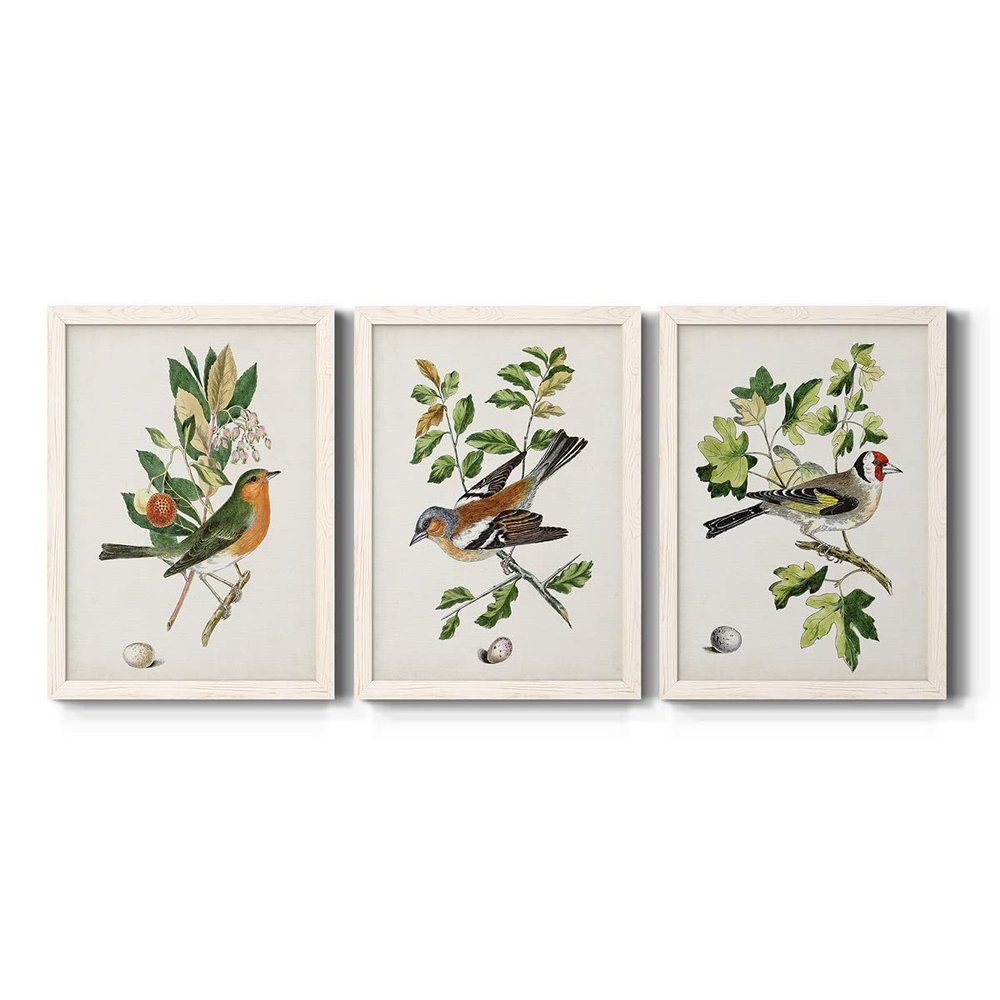 Wall Dcor, Bathroom Wall Art, Lifestyle, Travel, Art Deco, Italian, Shabby Chic, Animals, White Barnwood Framed Canvas, 3 Piece Set, Antique Bird, Botanical & Egg I 31X43