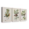 Wall Dcor, Bathroom Wall Art, Lifestyle, Travel, Art Deco, Italian, Shabby Chic, Animals, White Barnwood Framed Canvas, 3 Piece Set, Antique Bird, Botanical & Egg I 31X43 view 2