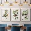 Wall Dcor, Bathroom Wall Art, Lifestyle, Travel, Art Deco, Italian, Shabby Chic, Animals, White Barnwood Framed Canvas, 3 Piece Set, Antique Bird, Botanical & Egg I 31X43 view 4