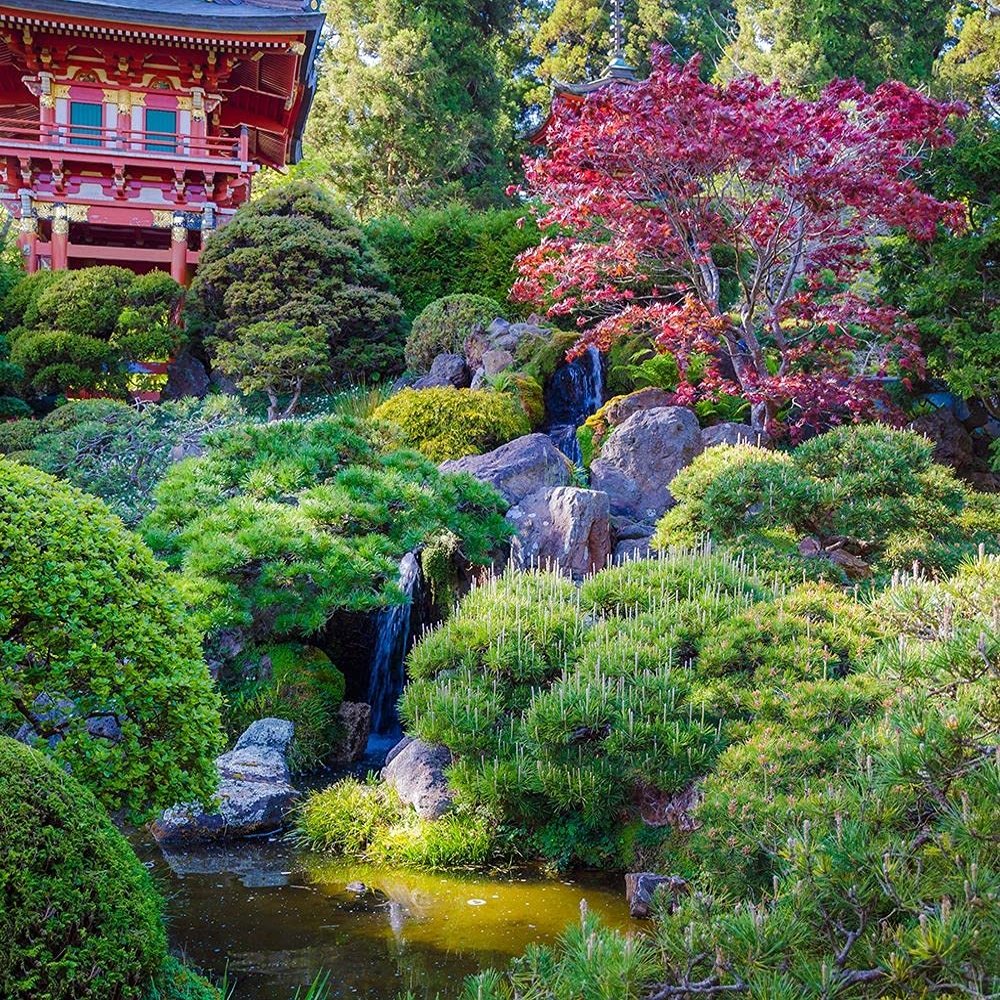 Pagoda-Japanese Tea Garden-Golden Gate Park-San Francisco-California-Usa by Anna Miller - 16x16 Art Print Poster