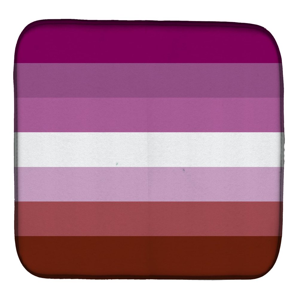 Caroline's Treasures CK7995DDM Lesbian Pride Dish Drying Mat Absorbent Dish Drying Mat Pad for Kitchen Counter Dish Drainer Mat for Countertop, 14 x 21", Multicolor