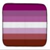 Caroline's Treasures CK7995DDM Lesbian Pride Dish Drying Mat Absorbent Dish Drying Mat Pad for Kitchen Counter Dish Drainer Mat for Countertop, 14 x 21", Multicolor view 1