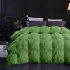 100% Cotton All Season Down Alternative Pintuck Comforter King Size (102" x 90") 3 Piece Green Sage Pinch Pleated Comforter Corner Tabs view 1